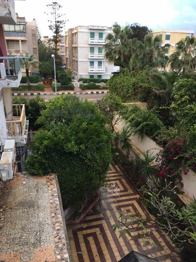 Maamoura Zahraa 9/206 *